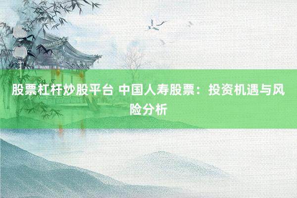 股票杠杆炒股平台 中国人寿股票：投资机遇与风险分析