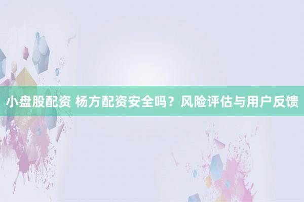 小盘股配资 杨方配资安全吗？风险评估与用户反馈
