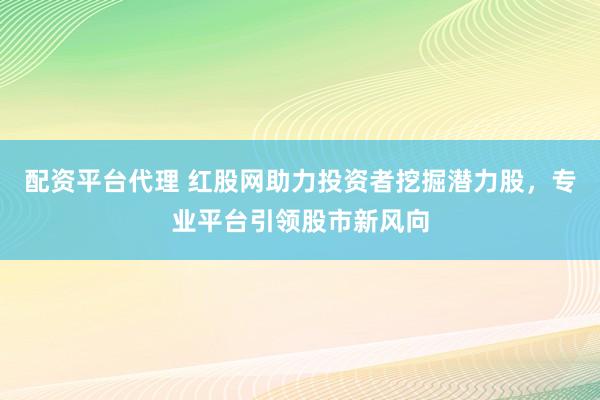 配资平台代理 红股网助力投资者挖掘潜力股，专业平台引领股市新风向