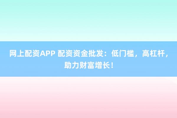 网上配资APP 配资资金批发：低门槛，高杠杆，助力财富增长！