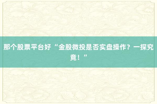 那个股票平台好 “金股微投是否实盘操作？一探究竟！”