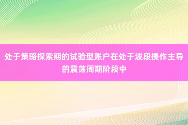 处于策略探索期的试验型账户在处于波段操作主导的震荡周期阶段中