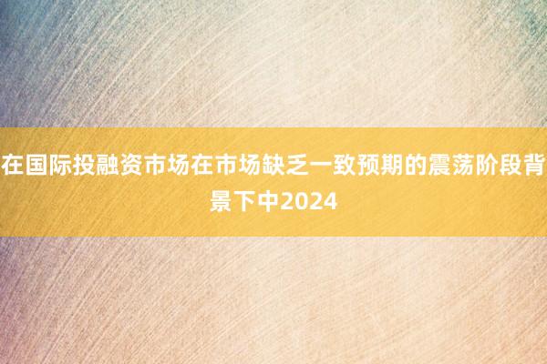 在国际投融资市场在市场缺乏一致预期的震荡阶段背景下中2024