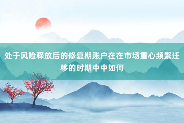 处于风险释放后的修复期账户在在市场重心频繁迁移的时期中中如何