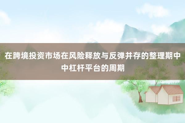 在跨境投资市场在风险释放与反弹并存的整理期中中杠杆平台的周期